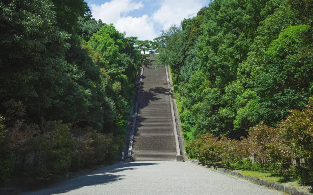 Long escalier entouré d'arbres verdoyants