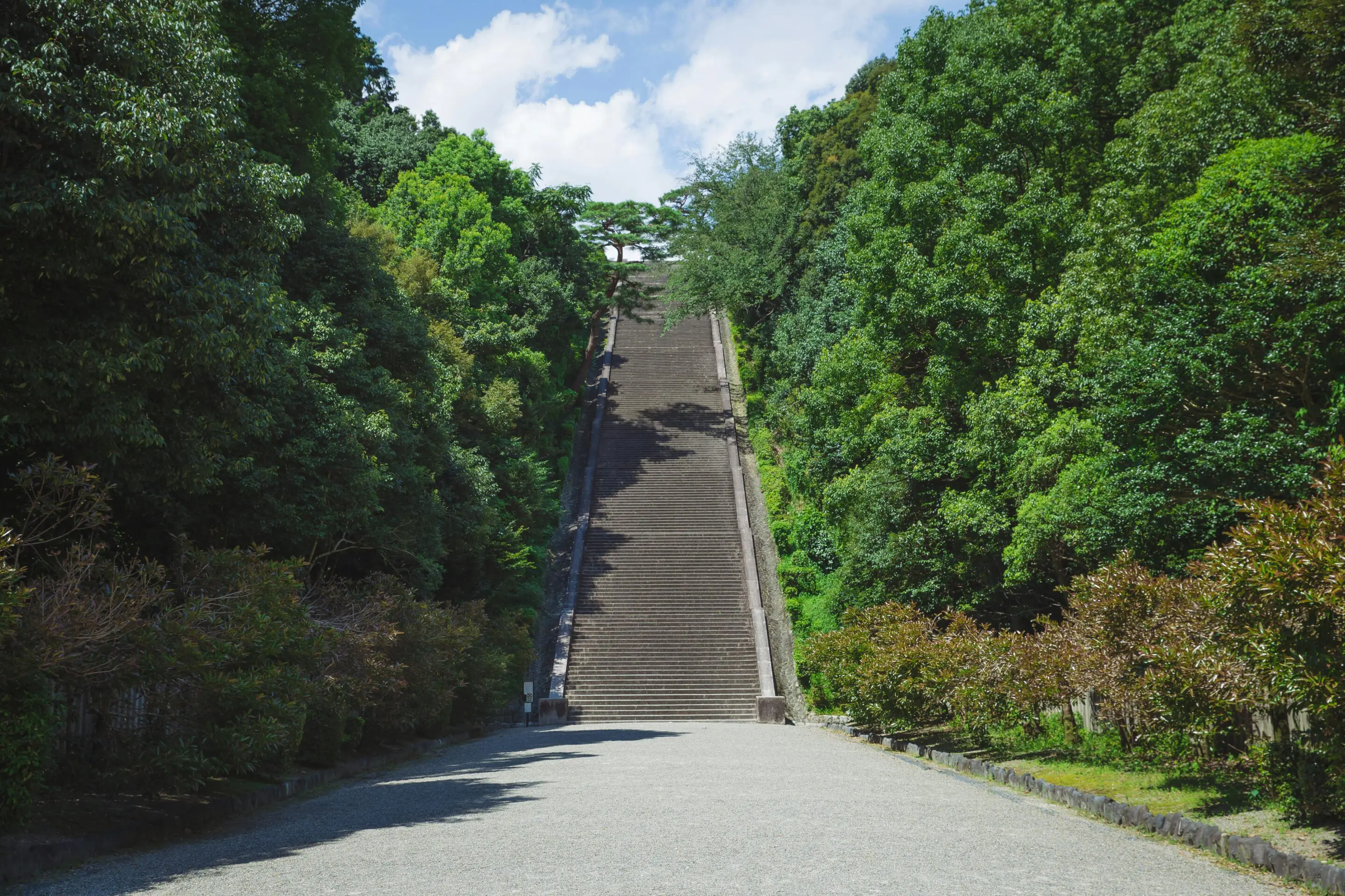Long escalier entouré d'arbres verdoyants